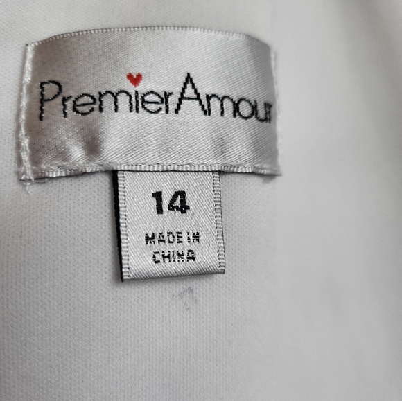 Premier Amour Floral Sleeveless Fitted Dress. Like NEW. Size 14 - Picture 9 of 16